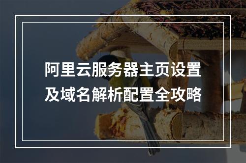 阿里云服务器主页设置及域名解析配置全攻略