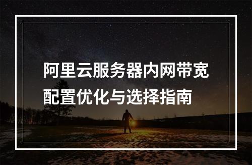 阿里云服务器内网带宽配置优化与选择指南