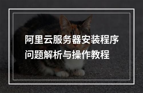 阿里云服务器安装程序问题解析与操作教程