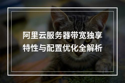 阿里云服务器带宽独享特性与配置优化全解析