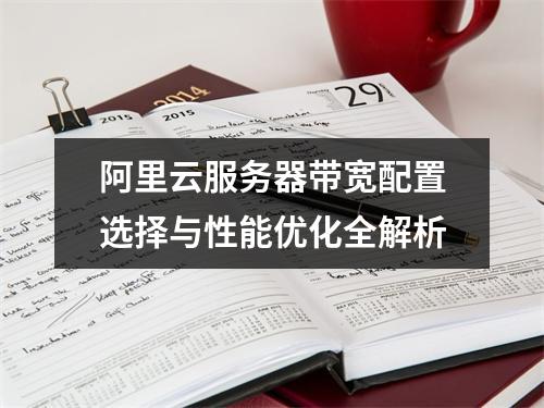 阿里云服务器带宽配置选择与性能优化全解析