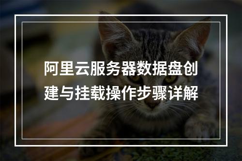 阿里云服务器数据盘创建与挂载操作步骤详解