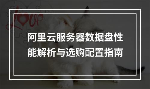 阿里云服务器数据盘性能解析与选购配置指南
