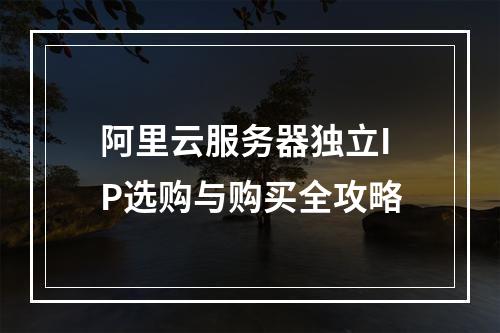 阿里云服务器独立IP选购与购买全攻略