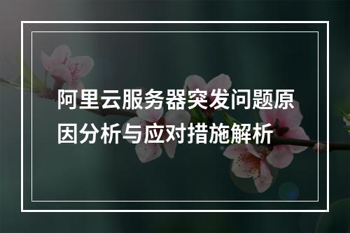 阿里云服务器突发问题原因分析与应对措施解析