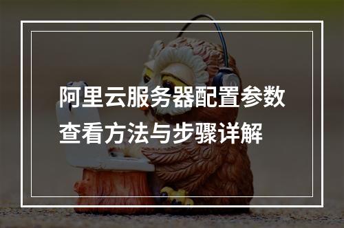 阿里云服务器配置参数查看方法与步骤详解