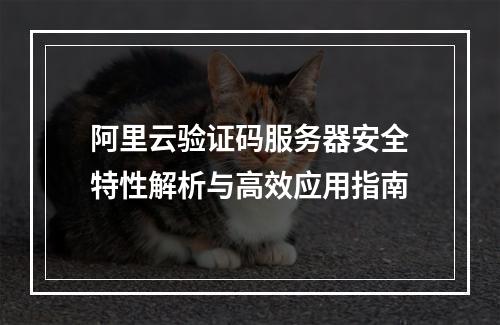 阿里云验证码服务器安全特性解析与高效应用指南