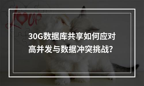 30G数据库共享如何应对高并发与数据冲突挑战？