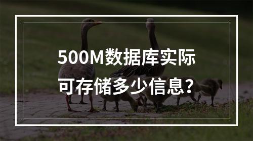 500M数据库实际可存储多少信息？