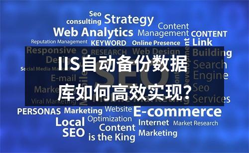 IIS自动备份数据库如何高效实现？