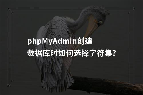 phpMyAdmin创建数据库时如何选择字符集？