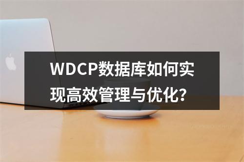 WDCP数据库如何实现高效管理与优化？