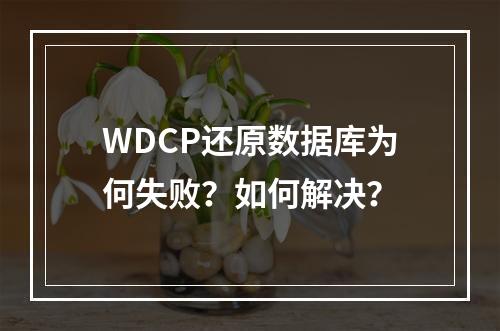 WDCP还原数据库为何失败？如何解决？