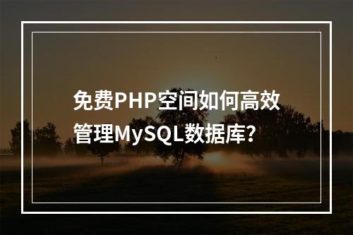 免费PHP空间如何高效管理MySQL数据库？