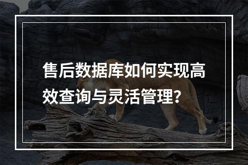 售后数据库如何实现高效查询与灵活管理？