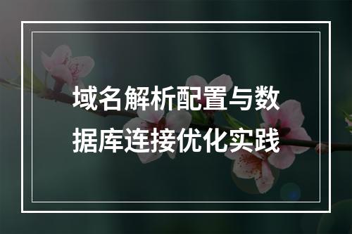 域名解析配置与数据库连接优化实践