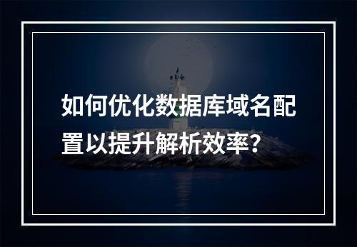 如何优化数据库域名配置以提升解析效率？