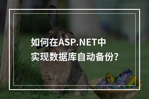 如何在ASP.NET中实现数据库自动备份？