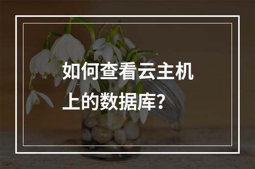 如何查看云主机上的数据库？