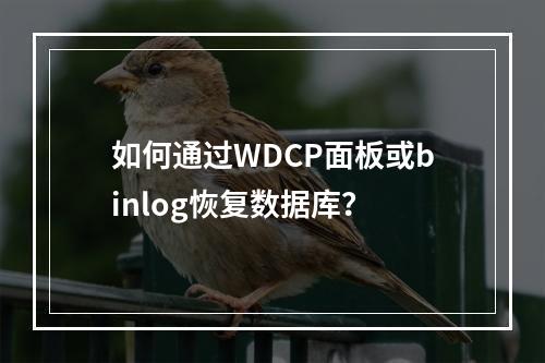 如何通过WDCP面板或binlog恢复数据库？