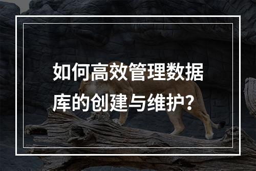 如何高效管理数据库的创建与维护？
