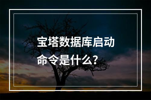 宝塔数据库启动命令是什么？
