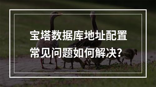 宝塔数据库地址配置常见问题如何解决？