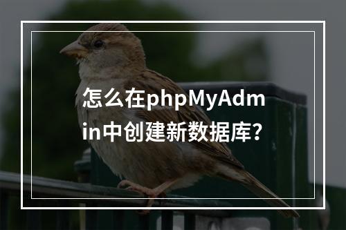 怎么在phpMyAdmin中创建新数据库？