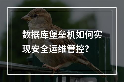 数据库堡垒机如何实现安全运维管控？