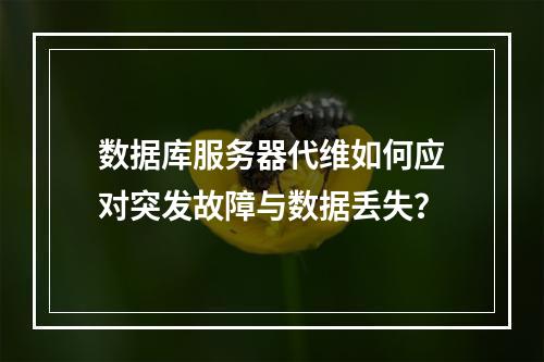 数据库服务器代维如何应对突发故障与数据丢失？