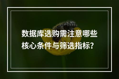 数据库选购需注意哪些核心条件与筛选指标？