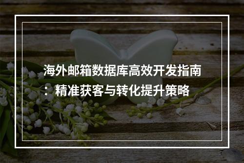 海外邮箱数据库高效开发指南：精准获客与转化提升策略