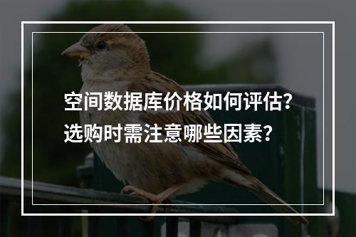 空间数据库价格如何评估？选购时需注意哪些因素？
