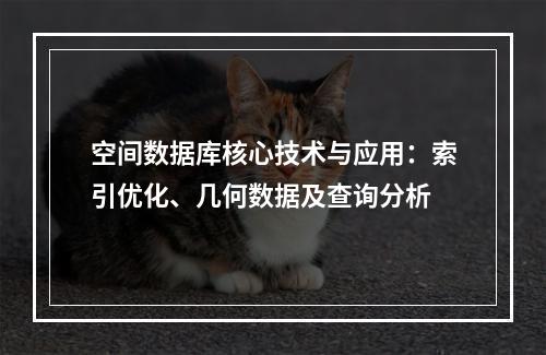 空间数据库核心技术与应用：索引优化、几何数据及查询分析