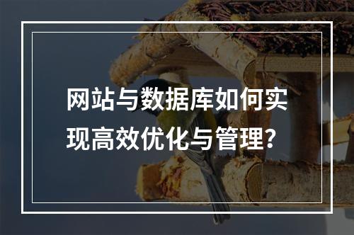 网站与数据库如何实现高效优化与管理？