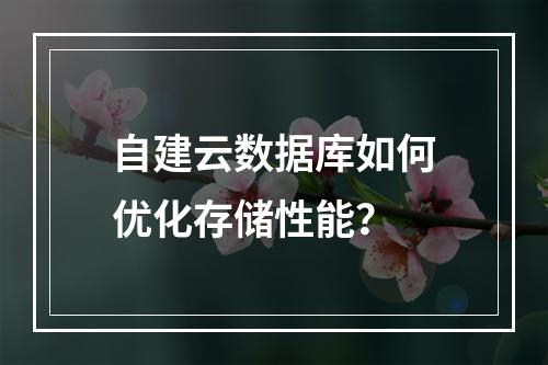 自建云数据库如何优化存储性能？