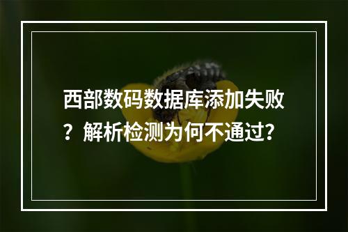 西部数码数据库添加失败？解析检测为何不通过？