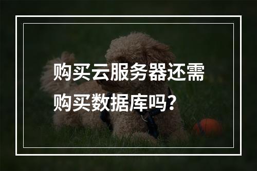 购买云服务器还需购买数据库吗？