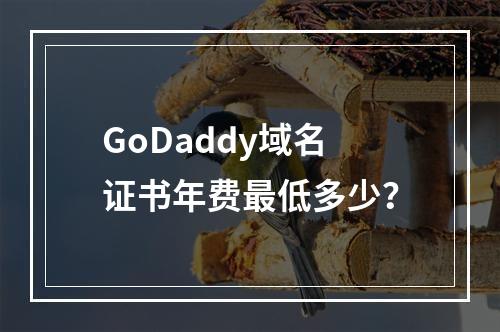 GoDaddy域名证书年费最低多少？