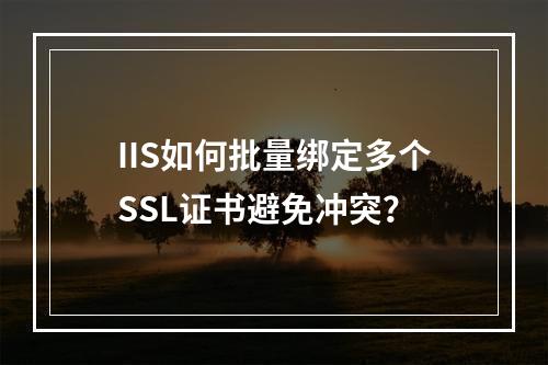 IIS如何批量绑定多个SSL证书避免冲突？