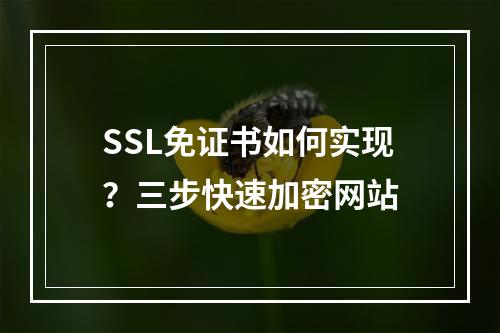 SSL免证书如何实现？三步快速加密网站