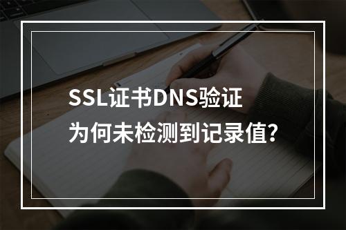 SSL证书DNS验证为何未检测到记录值？