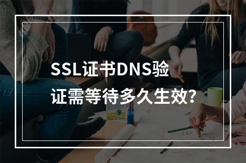 SSL证书DNS验证需等待多久生效？