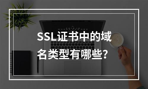 SSL证书中的域名类型有哪些？