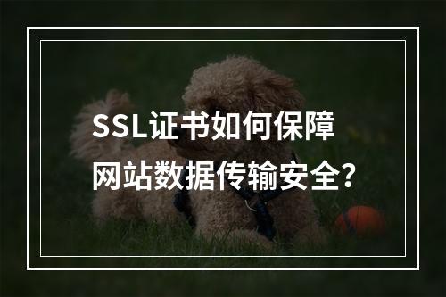 SSL证书如何保障网站数据传输安全？