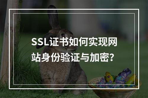 SSL证书如何实现网站身份验证与加密？