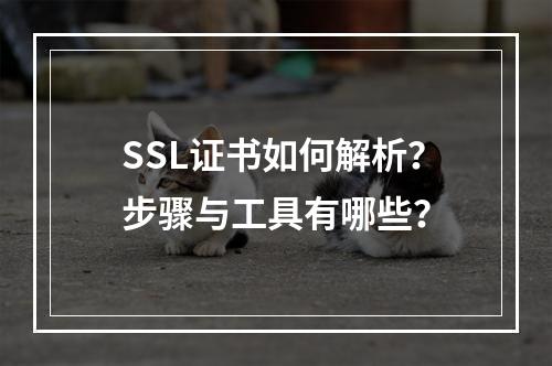 SSL证书如何解析？步骤与工具有哪些？