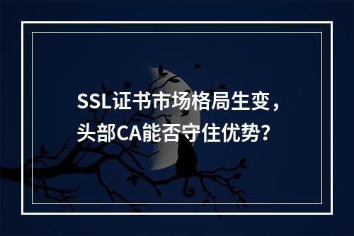 SSL证书市场格局生变，头部CA能否守住优势？
