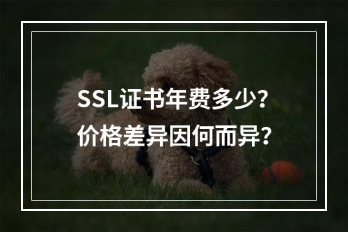 SSL证书年费多少？价格差异因何而异？