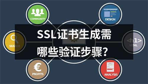 SSL证书生成需哪些验证步骤？